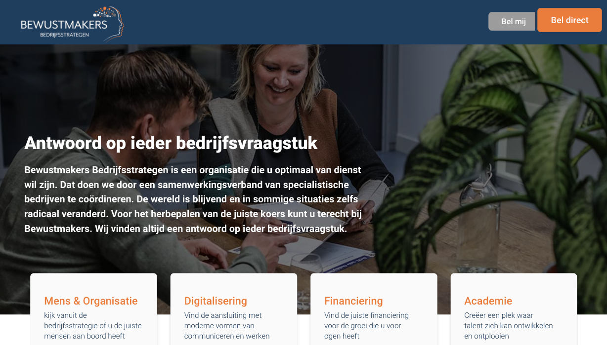 Bewustmakers-Bedrijfsstrategen